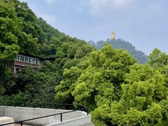 -城外有星光桥舍(南山店)