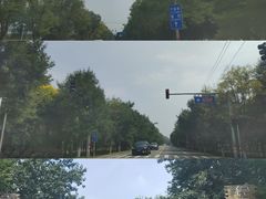 -呀路古热带植物园
