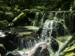 -牛背梁国家森林公园
