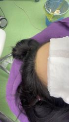 -杭州医巢医疗美容