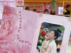 -太阳宫公园