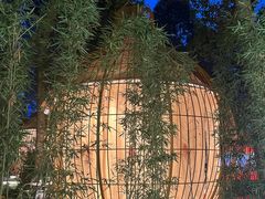 -二荆条·蜀鲜汇城市森林火锅