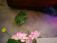 -碧露轩·大益茶体验馆(镇江路店)