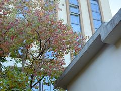 -厦门途易蓝罗约海景温泉酒店(园博苑地铁站店)