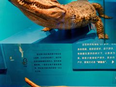 -深圳博物馆(古代艺术馆)