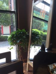 -明洞造型精品烫染