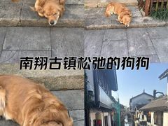 -南翔古镇