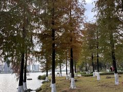 -飞来湖湿地公园