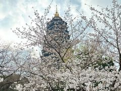 -红梅公园