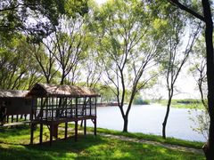 -洪湖生态旅游区