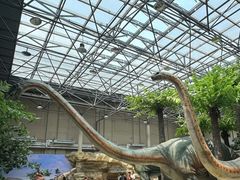 -国家自然博物馆