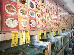-鸿达渔港