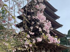 -醍醐寺
