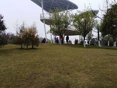 -铁山坪森林公园