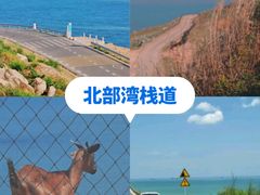 -坛南湾阿强农家乐.海鲜大排档老字号(福州地标美食店)