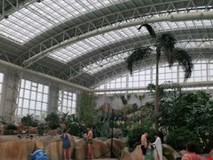 -杭州开元森泊度假乐园