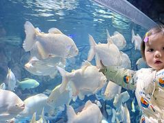 -多彩贵州城极地海洋世界