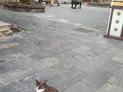 -长春观