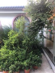 点击看大图 -爱儿美儿童摄影(朝阳公园店)