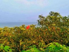 -东山风景区(洞庭东山)
