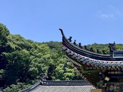-普陀山风景名胜区-法雨禅寺