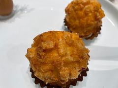 -丁老爷子苏香圆