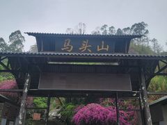 -马头山