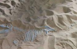 -恐龙探索乐园(磁器口店)