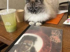 -剧狐剧本杀·月球探案馆(人民广场1号店)