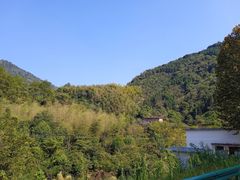 -永丰国家森林公园