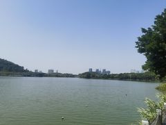 -顺峰山公园