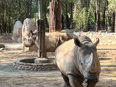 -北京野生动物园