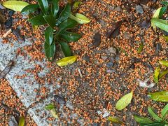 -弘儒堂·影院足道·SPA(丽园南路店)