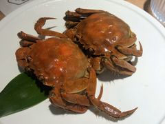 江南醉六月黄蟹-苏小柳点心·手作小笼包(新街口分院店)