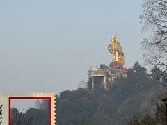 -大金鹰园