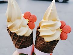 -麦当劳(保定裕华路店)