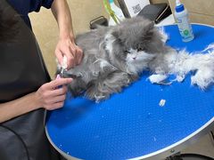 -佳雯宠物医院·皮肤科·内外科(春晓路分院)