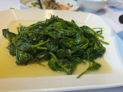 -正兴蜀园(科技园区店)