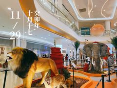 -深圳龙华星河COCO City(民治店)
