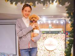 -百好乐宠物友好餐厅(朝外大街店)