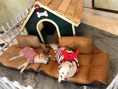 -上海崇明金茂凯悦酒店