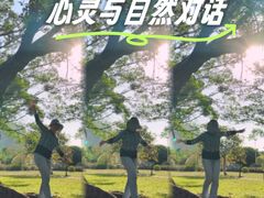 -南沙蒲洲花园