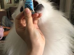-联合动物医院(光谷诊疗中心)