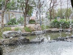 -顺峰山公园