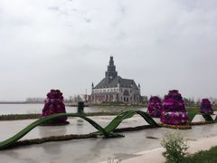 -荷兰花海