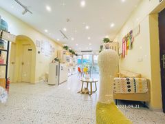 -柚子猫舍·精品猫舍购猫·猫咪认养·购宠·宠物店