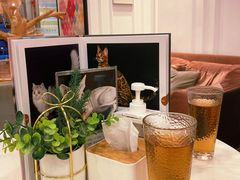 -袖虎·猫馆(体育西路店)
