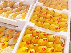-西郊国际农产品交易中心