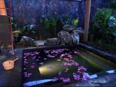 -和顺柏联温泉