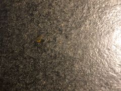 -渝涯重庆豆花老火锅(中赢国际店)